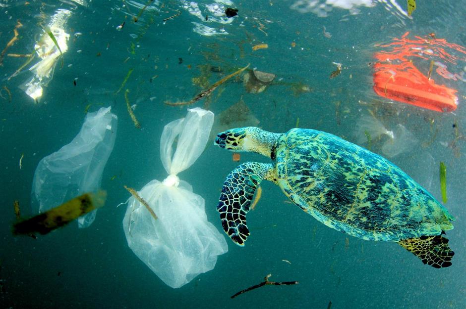 Plastic in the ocean